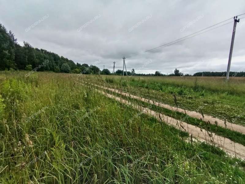 земельный участок 844 сотки КП Бугров парк