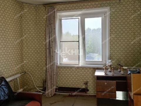 3-komnatnaya-derevnya-drozdovo-brilyakovskiy-selsovet-gorodeckiy-rayon фото