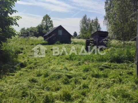 dom-derevnya-perelaz-semenovskiy-gorodskoy-okrug фото