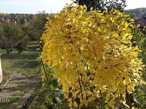 dom-derevnya-frolovskoe-kstovskiy-rayon фото