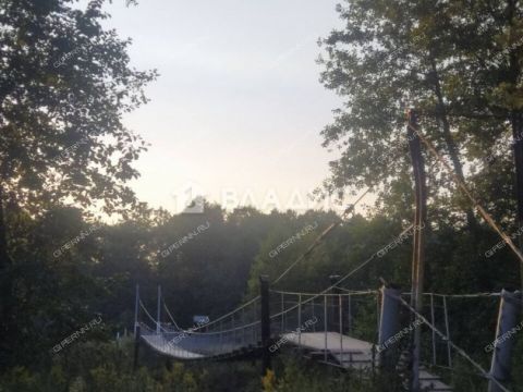 dacha-snt-oblepiha-gorodskoy-okrug-bor фото