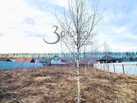 derevnya-shumilovo-bogorodskiy-municipalnyy-okrug фото