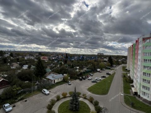 1-komnatnaya-gorod-bor-gorodskoy-okrug-bor фото