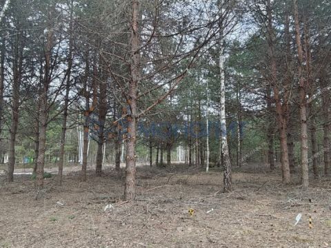 ivanovskoe-sloboda-gorodskoy-okrug-bor фото