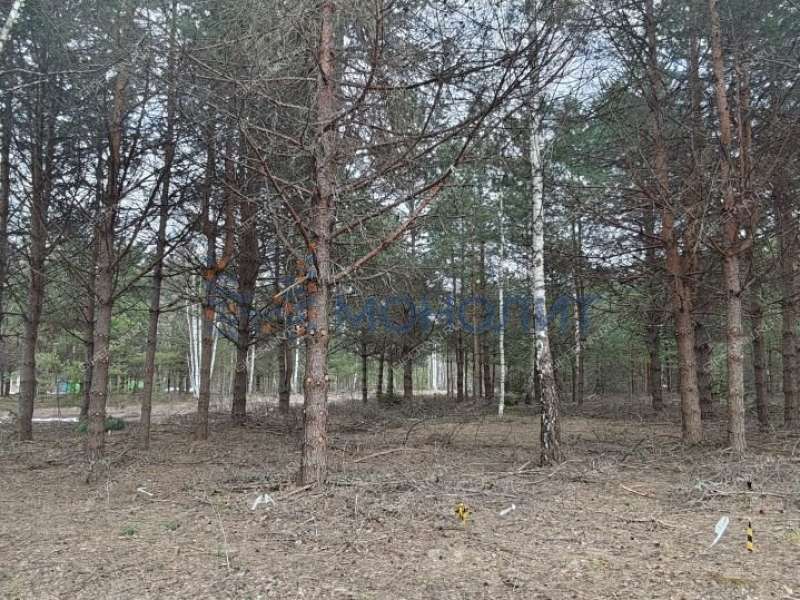 земельный участок 16 соток Ореховая улица Ивановское слобода