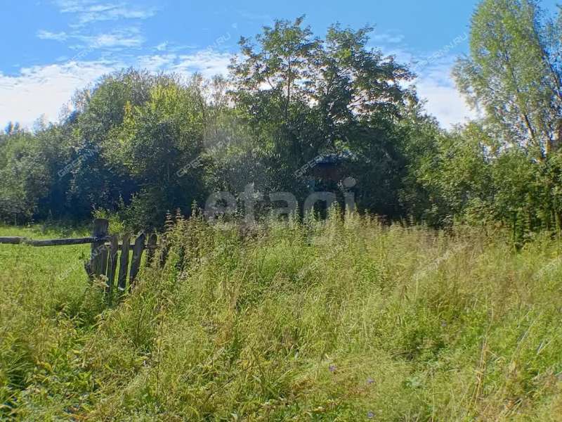 земельный участок 20,4 сотки улица Черкасский Порядок село Афанасьево