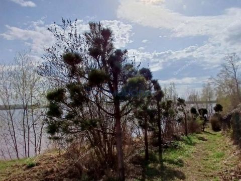 dacha-derevnya-gubcevo-gorodskoy-okrug-chkalovsk фото