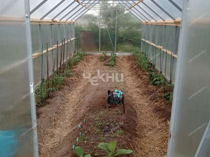 дом на Северной улице деревня Ковригино, Ковригинский сельсовет