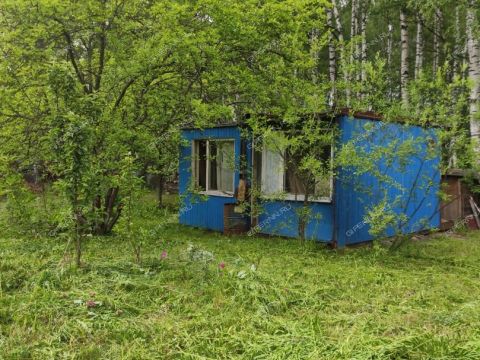 derevnya-zolotovo-gorodskoy-okrug-bor фото