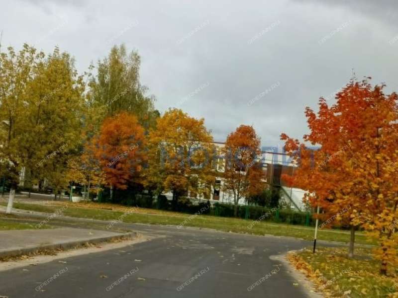 трёхкомнатная квартира на Танковой улице дом 20 посёлок Новосмолинский