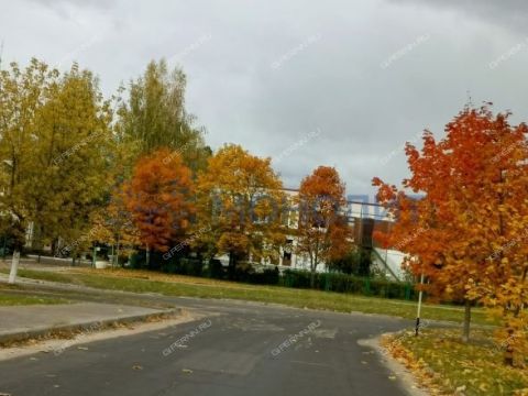 3-komnatnaya-poselok-novosmolinskiy-volodarskiy-rayon фото