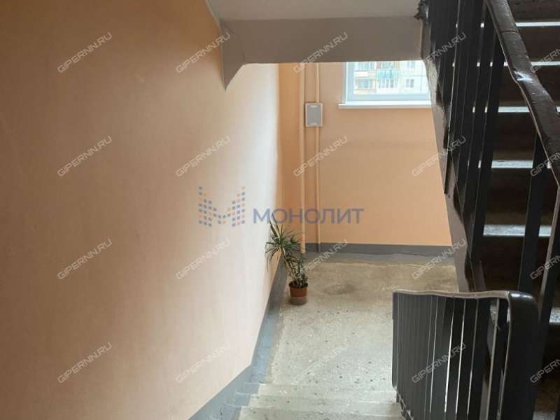 трёхкомнатная квартира на Берёзовской улице дом 102