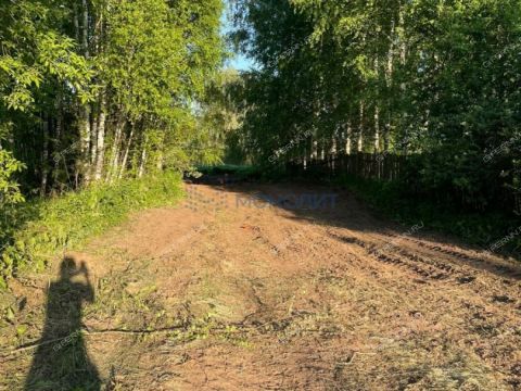 derevnya-maloe-bedrino-bogorodskiy-municipalnyy-okrug фото