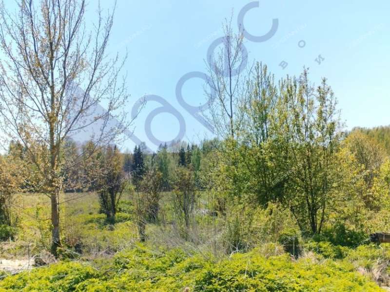 земельный участок под коммерческое использование в городском округе Сокольский Нижегородской области