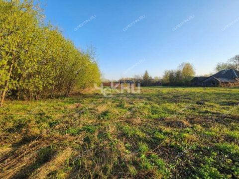 derevnya-blazhencovo-gorodeckiy-rayon фото