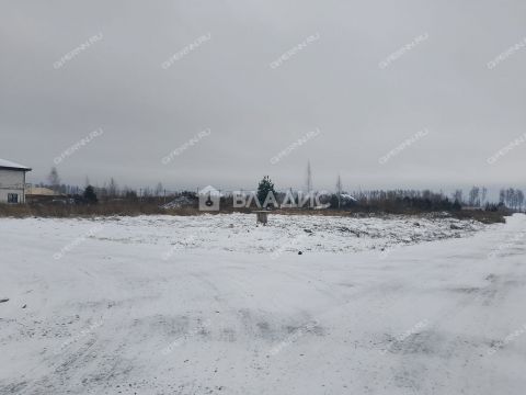 selo-bezvodnoe-kstovskiy-rayon фото