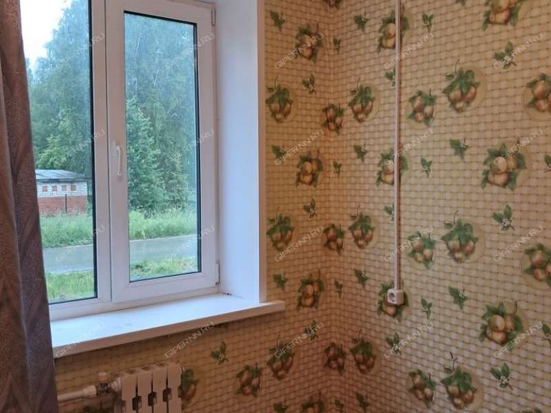 однокомнатная квартира на Больничная дом 47а посёлок городского типа Вача