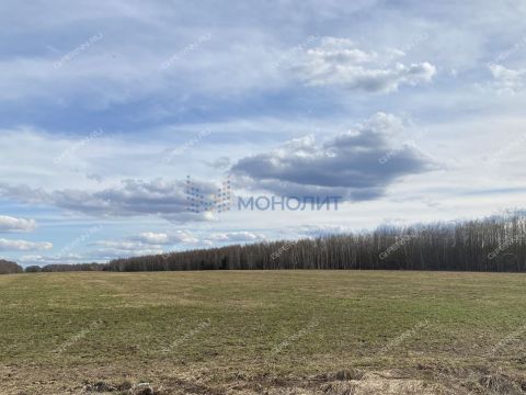 selo-kamenki-bogorodskiy-municipalnyy-okrug фото