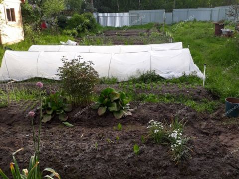 dom-snt-kalinka-gorodskoy-okrug-bor фото