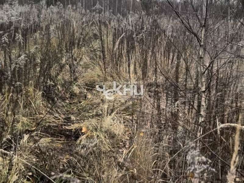 земельный участок 10 соток село Безводное