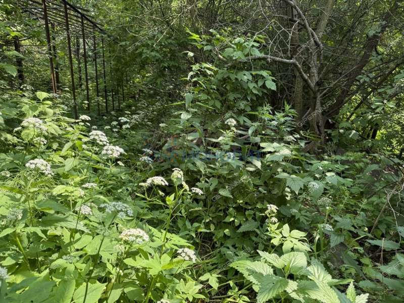 земельный участок 7,34 сотки Нижне-Валдайская улица