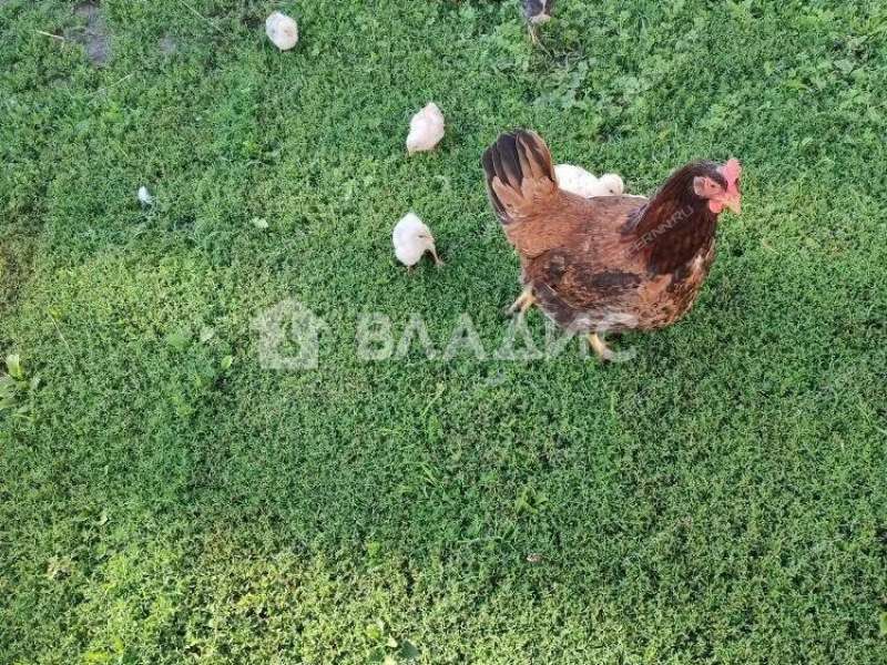 дом на Нагорной улице деревня Турбанка