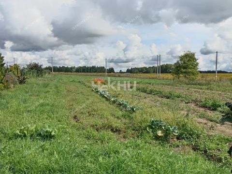 dom-derevnya-butakovo-gorodeckiy-rayon фото