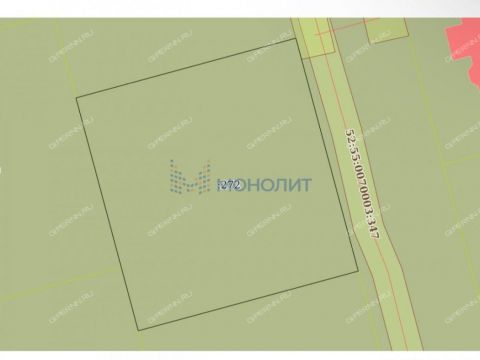 selo-diveevo-diveevskiy-municipalnyy-okrug фото