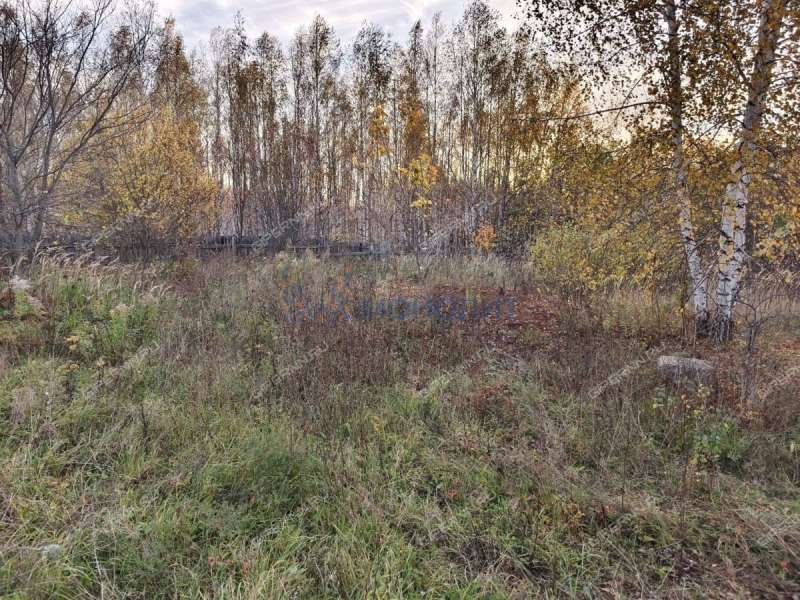 земельный участок 45 соток Солнечная улица село Новые Ключищи